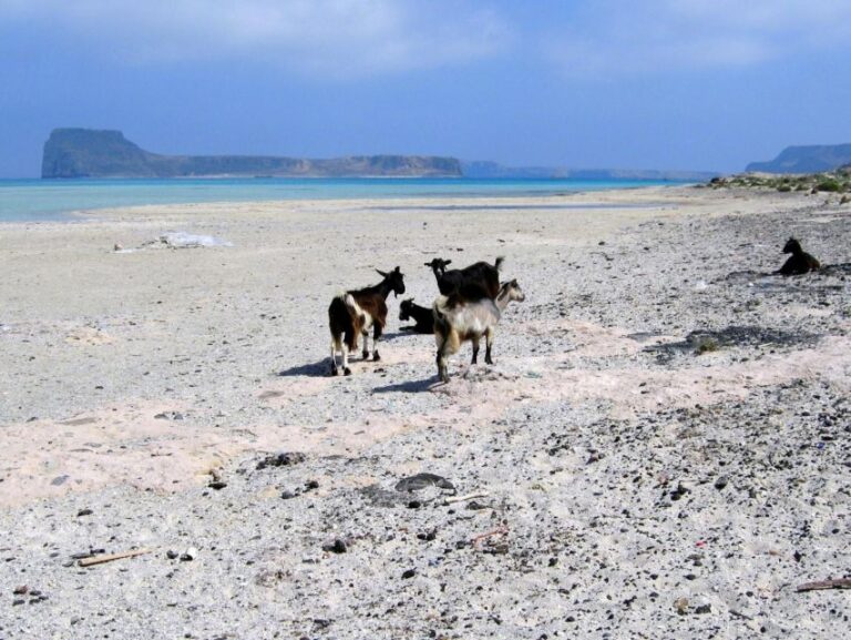 Rethymno: Gramvousa & Balos Lagoon Day Trip with Boat Ticket