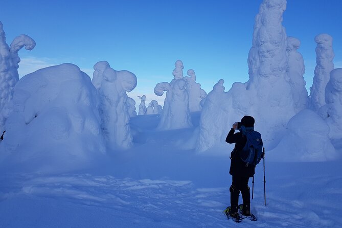 Riisitunturi National Park Snowshoe Experience - Good To Know