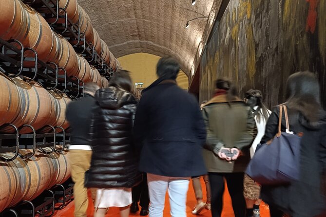 Rioja Day Tour: Explore Three Wineries with Tastings - Good To Know