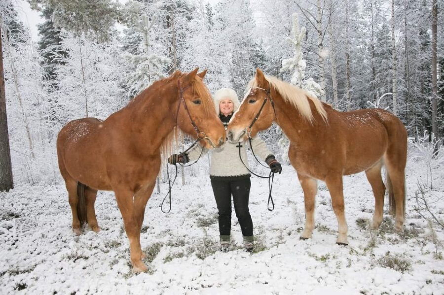 Rovaniemi: Late Night Ride with Finnhorses - An In-Depth Look at the Rovaniemi Late Night Ride with Finnhorses