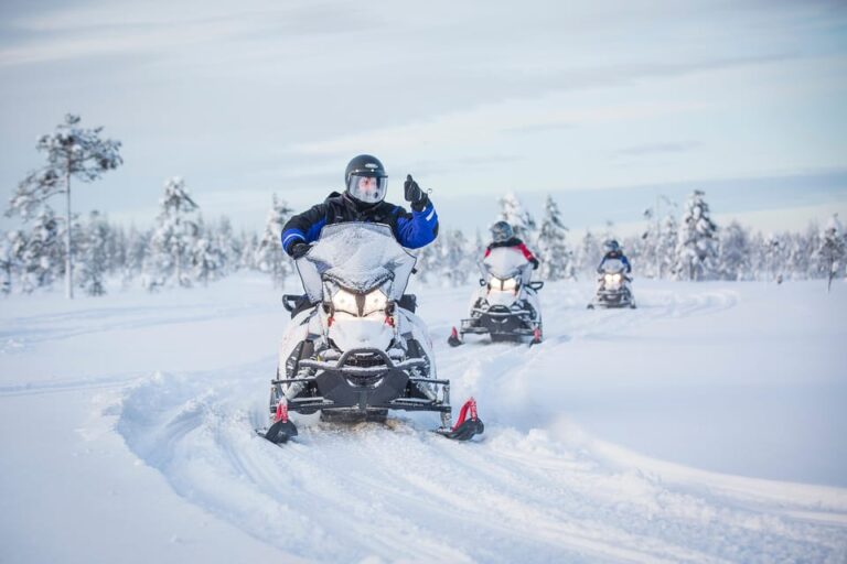 Rovaniemi: Taste of Wilderness Snowmobile Safari