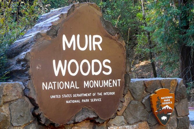San Francisco to Muir Woods Cycling Tour - The Experience: Breaking Down the Day
