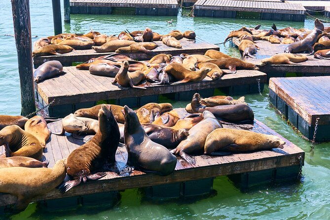 San Francisco Uncovered Self-Guided Adventure - Practical Insights: What This Tour Means for You
