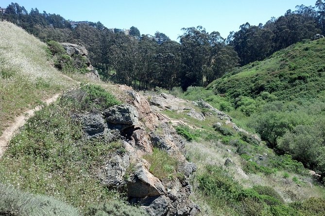 San Francisco's Glen Park and Glen Canyon: A Self-Guided Tour - A Brief Introduction to Glen Park and Glen Canyon