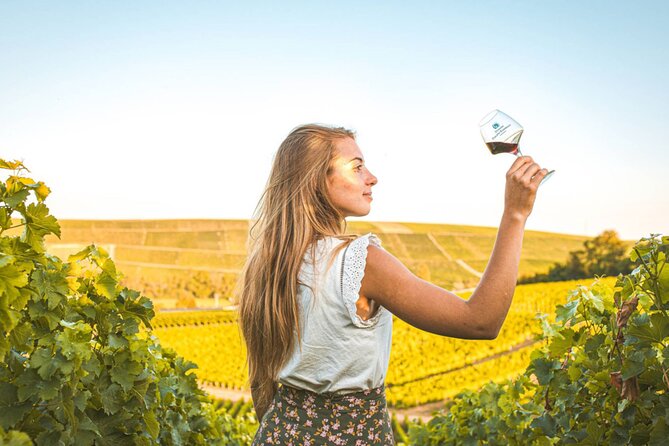Sancerre Private Wine Tour with 10 Tastings and Lunch from Paris - First Stop: Tracy-sur-Loire and Vineyard Lunch