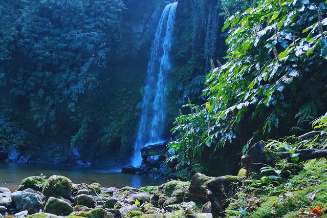 São Miguel: Majestic North Tour (Local Lunch Incl.) - Good To Know