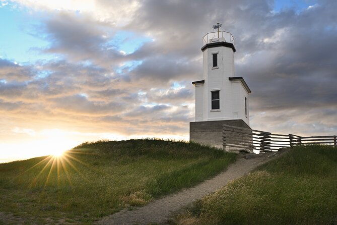 Scenic Coast and Wildlife Tour - Why This Tour Is Worth Considering