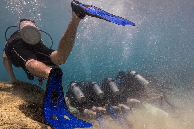 Scuba Diving at Turtle Bay with Underwater Pictures Included - Good To Know