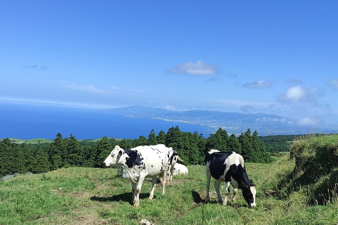 Sete Cidades on Jeep - Good To Know