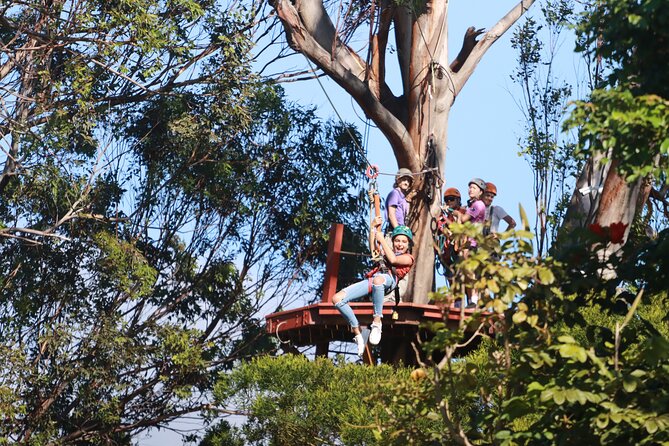 Shore Excursion Zipline Tour for Pride Of America Passengers - Introduction
