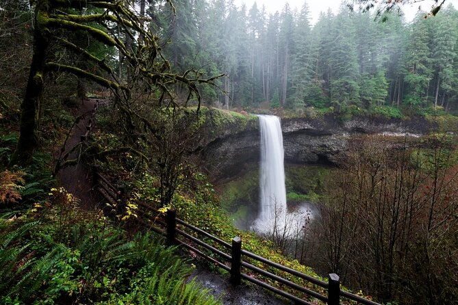 Silver Falls Private Hike Tour - The Value of This Tour