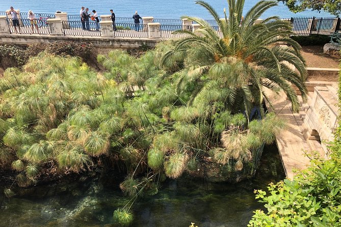 Siracusa & Noto: small group tour from Taormina - Good To Know