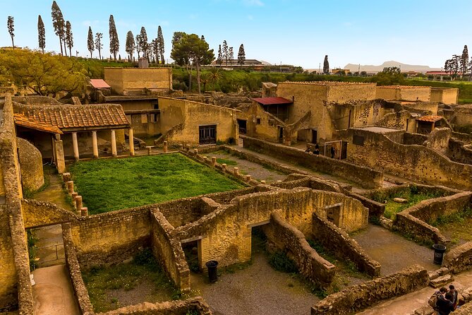 Skip-the-Line Ticket for Herculaneum Ruins - Good To Know