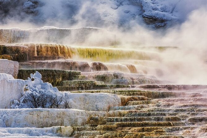Small Group Yellowstone&Grand Teton 4-Day Tour w/2 Night Cabins - A Closer Look at the Small Group Yellowstone & Grand Teton 4-Day Tour with Cabins