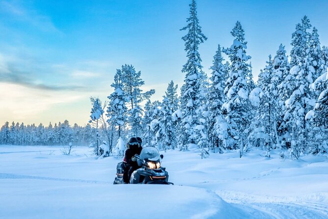 Snowmobile Tour with Small Group in Remote Wilderness 3 Hours - Introduction