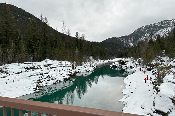 Snowshoe Day Tour In Glacier National Park - What Makes the Snowshoe Day Tour in Glacier National Park Stand Out?