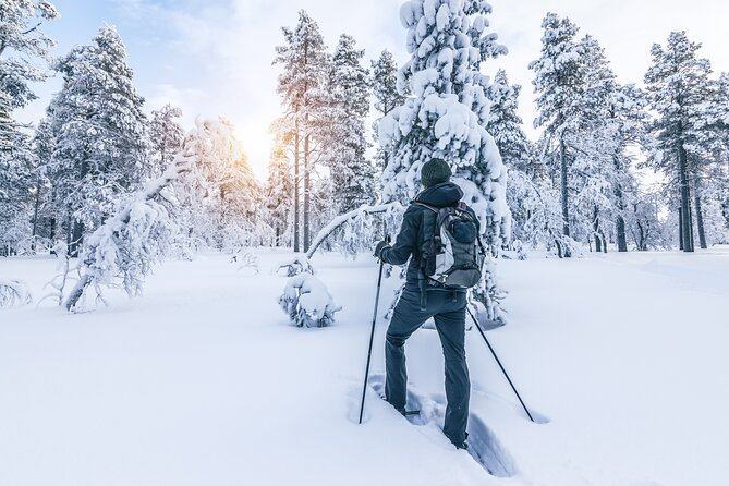 Snowshoe Tour in the Lake Tahoe Mountains - Good To Know