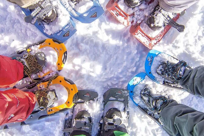 Snowshoeing tour with Wild Lunch - Good To Know