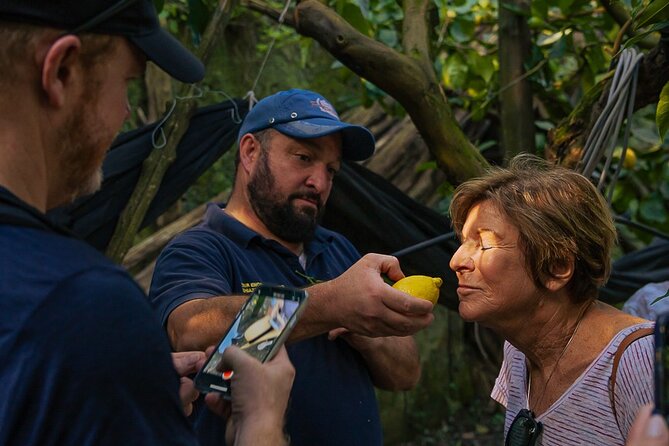 Sorrento Ape Tour, Lemon Garden, Mozzarella Show & Pizza Class - Good To Know