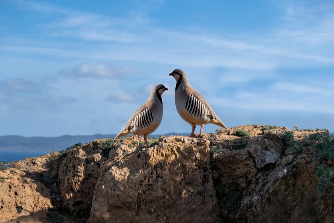 Sounio Half Day Private Tour - Good To Know