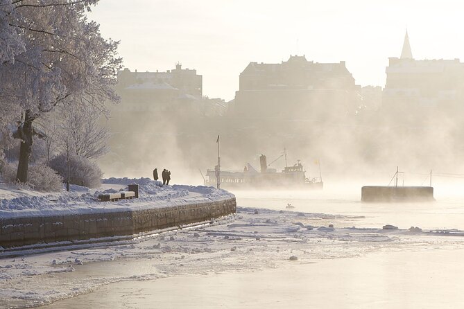Stockholm Winter Boat Tour with Guide - Good To Know