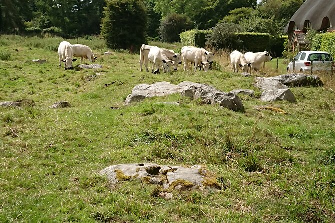Stonehenge, and Avebury in One Day - Good To Know