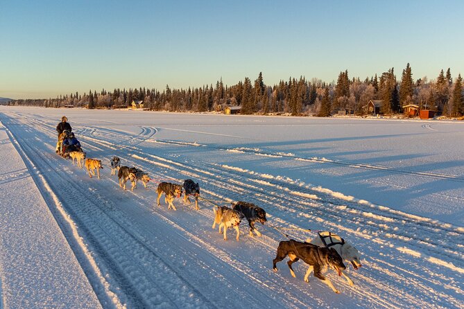 Sunrise Zen Husky Tour (10:00 to 13:00 - sitting on the sled) - Good To Know
