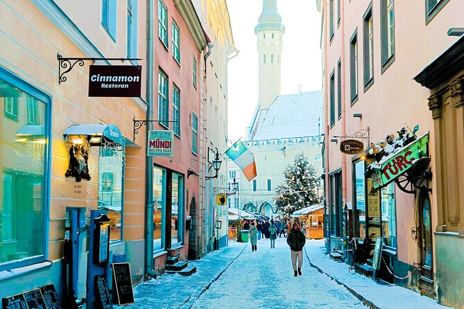 Tales of Tallinn 4 Hour Sightseeing Tour - Good To Know