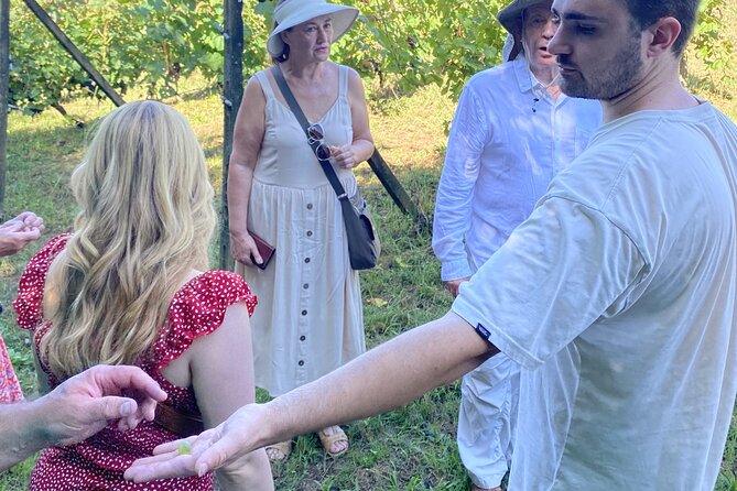 Tasting in a Tuscan Vineyard with transfer from Pisa - Good To Know
