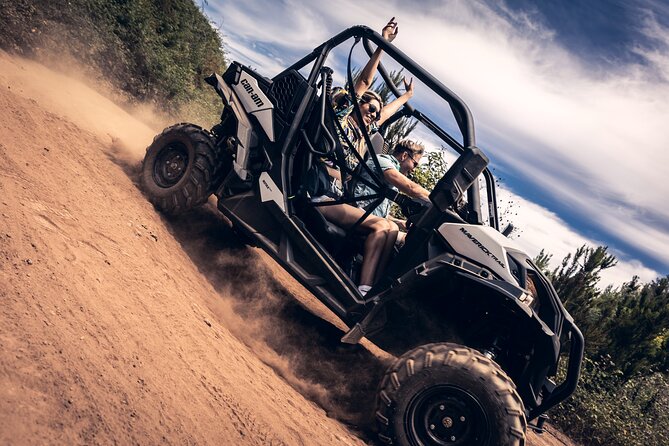 Tenerife Guided Buggy Discovery Tour Around Mount Teide - Good To Know