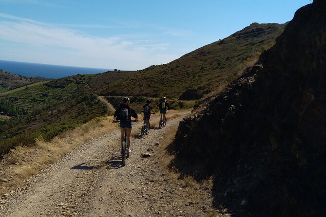 The Collioure Tops on Electric Scooters - Who Is This Tour Best For?