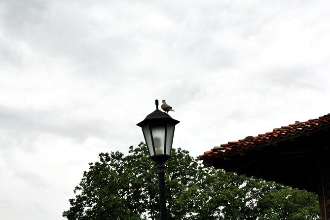The Ultimate Private Zheravna Walking Tour - A Closer Look at the Zheravna Walking Tour