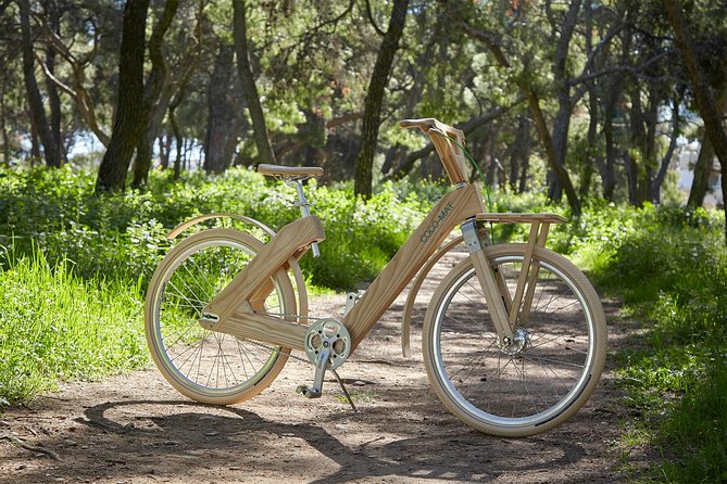 The Wooden Bicycle Tour in Stockholm - The Itinerary in Detail