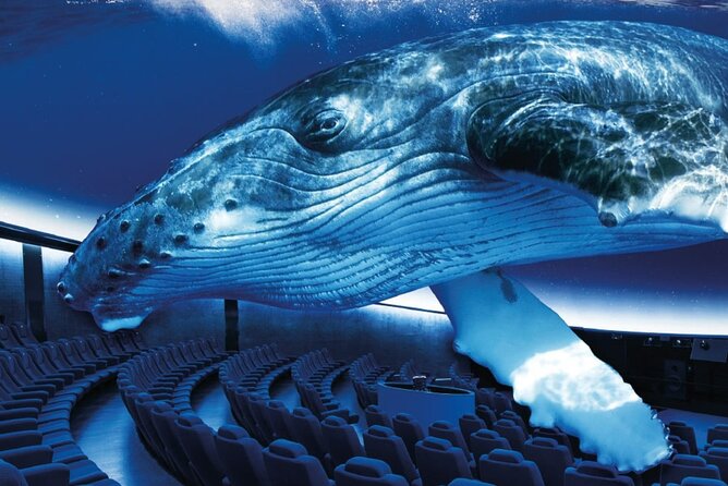 Ticket Palma Aquarium - Good To Know
