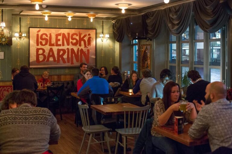 Tipsy in Reykjavik: Drink with a Viking (Food, Beer, Music)