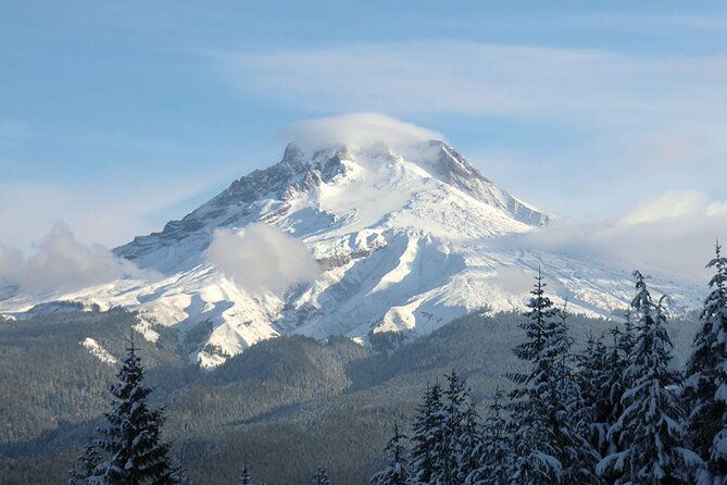 Tom Dick and Harry Snowshoe Hike - The Scenic Route: From Forests to Alpine Vistas