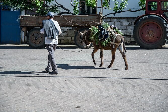 Tour Around the Lake Albania from Ohrid - Good To Know