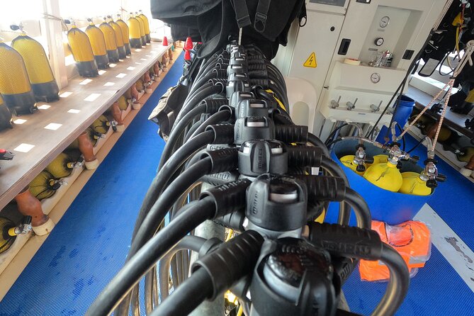 Tour in Alanya with Lunch and Guided Scuba Dives from Side - Good To Know