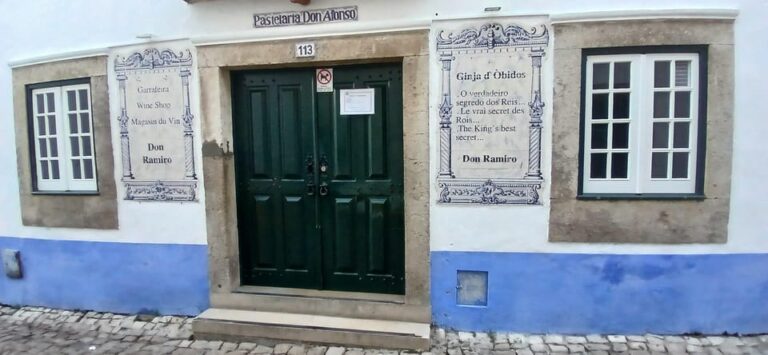TOUR OBIDOS NAZARE 6h