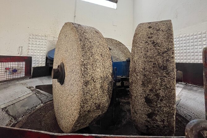 Tour of the oil mill with tasting - An inviting start at Masseria Manfredi
