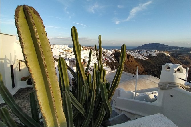 Transfer from Oia to Fira and Airport - Good To Know
