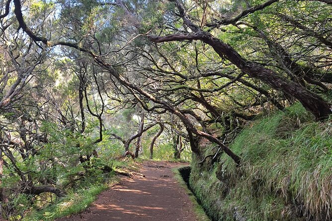 Transfer Rabacal 25 Fontes & Risco Levada Self-Guided - Good To Know