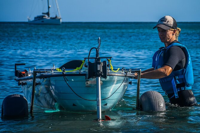 Transparent Electric Kayaks with Guide - Exploring Fuerteventura’s Coast in Transparent Electric Kayaks with Guide