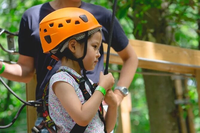Treetop adventure course in Jablines - Good To Know