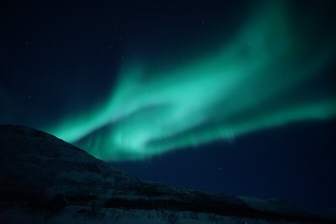 Tromsø: Evening Cruise with Northern Lights Opportunity - Tromsø: Evening Cruise with Northern Lights Opportunity - A Complete Review