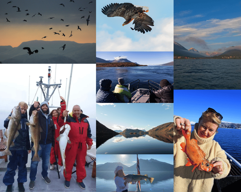 Tromsøs Top-Rated Fjord & Fishing Cruise  All-Inclusive - An In-Depth Look at the Fjord & Fishing Experience