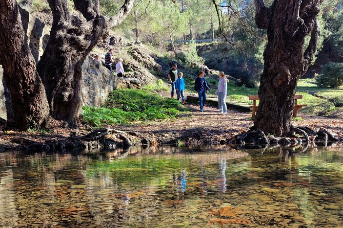Troodos Mountains a Tour of Adventures