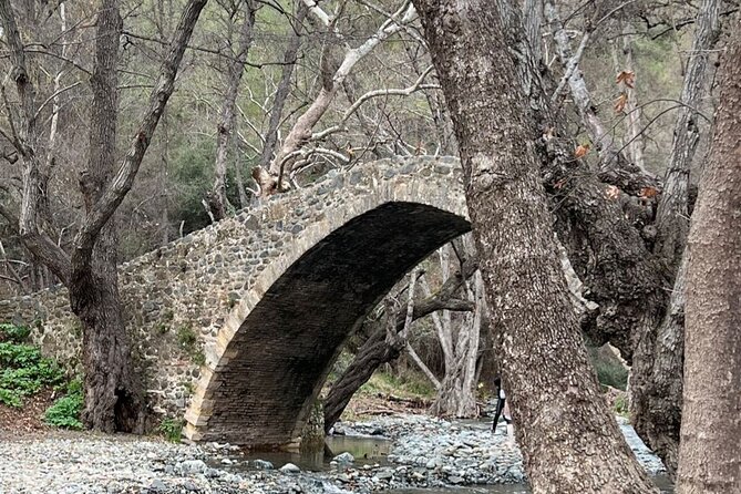 Troodos Mountains Jeep Tour with Wine Tasting - Introduction