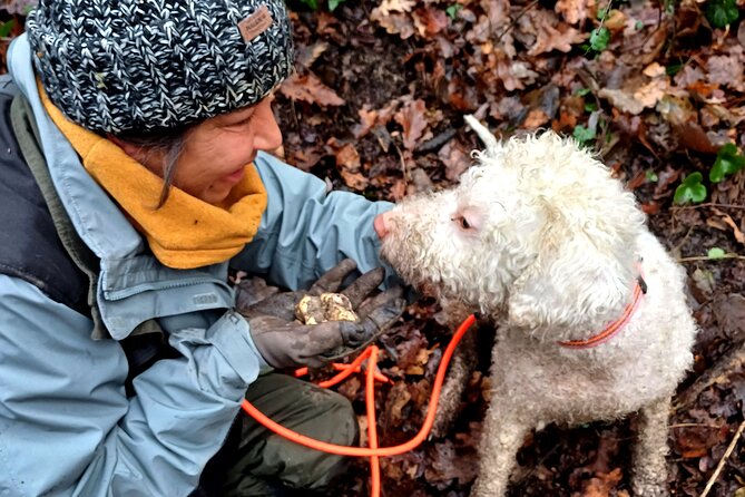 Truffle Hunting and Lunch in Piedmont Trattoria - Good To Know