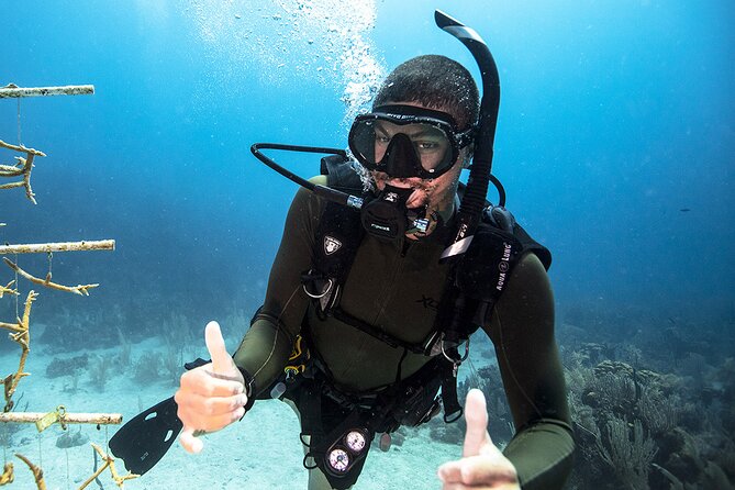 Try Dive - Scuba Diving with a private guide, incl. photos - Good To Know